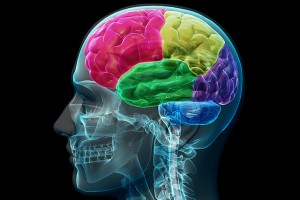 traumatic brain injury, tbi, Serious injury, wheelchair, catastrophic injury